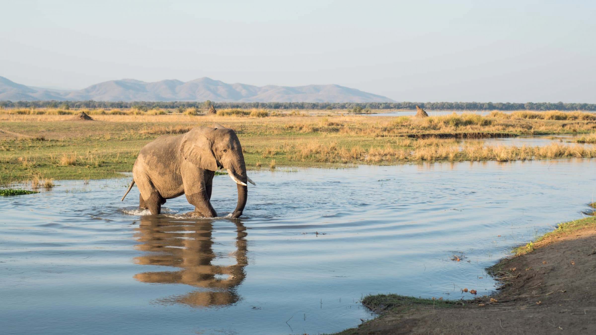 Mana Pools National Park Safaris, Zimbabwe